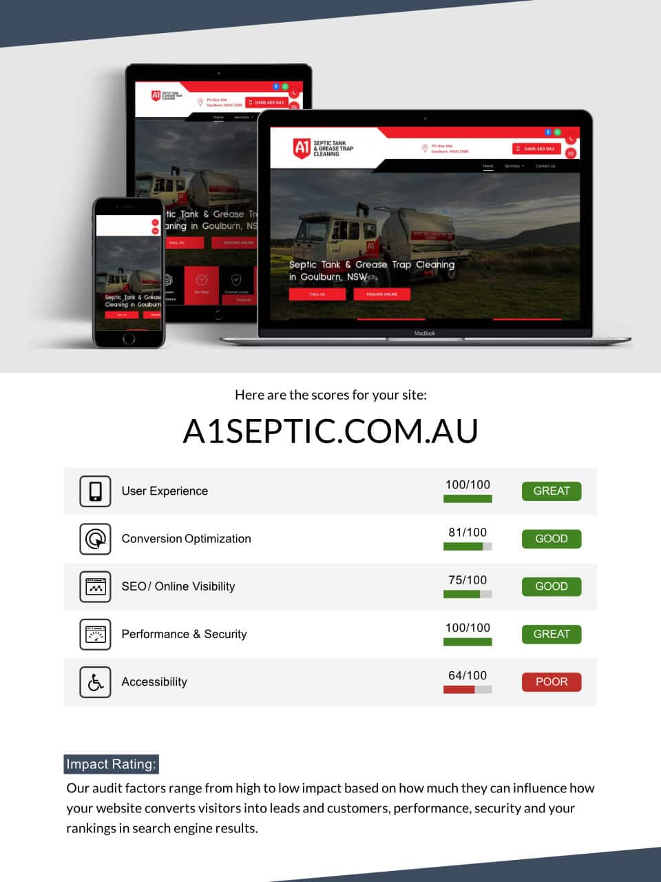 Website Audit Page